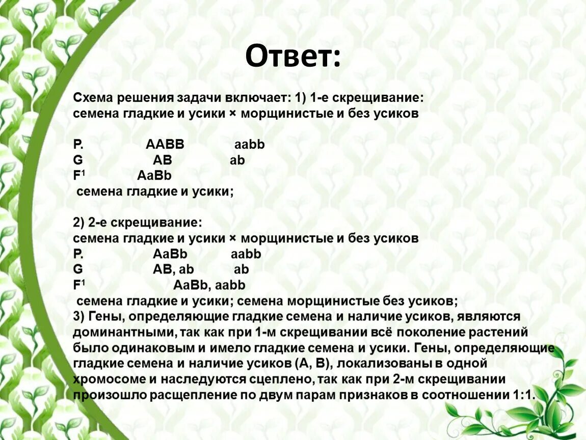 Появление морщинистых семян. При скрещивании гороха. При скрещивании растений гороха с гладкими семенами и усиками. Задачи на скрещивание гороха. Морщинистая форма семян.