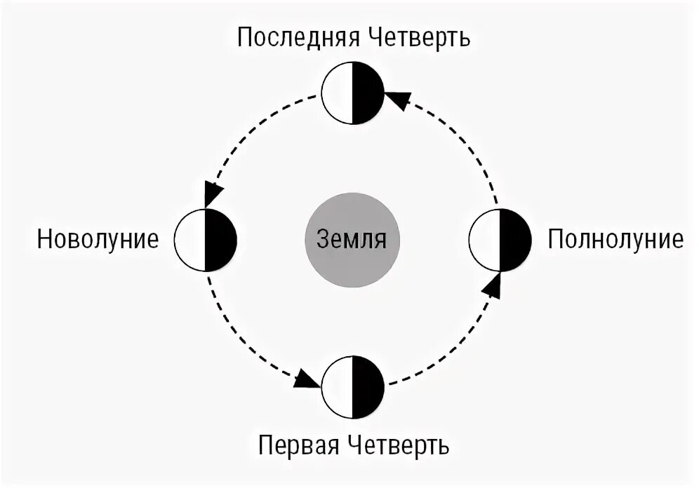 Лунный цикл в 33 года. Новолуние 8 апреля 2024 затмение