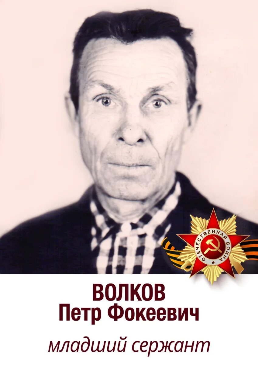 Павлович волков