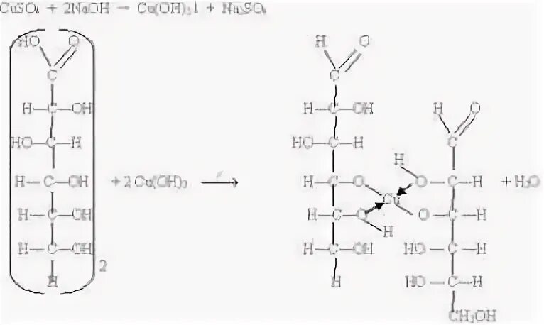 Глюкоза плюс гидроксид меди. Взаимодействие Глюкозы с гидроксидом меди без нагревания. Глюкоза плюс гидроксид меди 2. Реакция Глюкозы с гидроксидом меди без нагревания. Гидроксид меди 2 без нагревания
