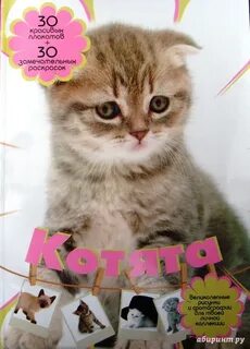 Котенок книга 3