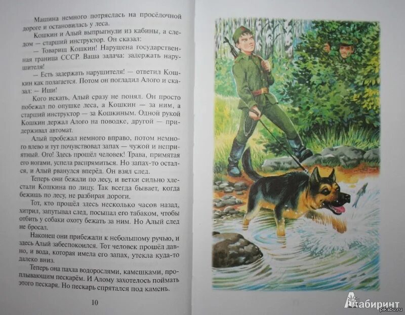Рассказы о пограничниках