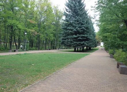 Парок курск