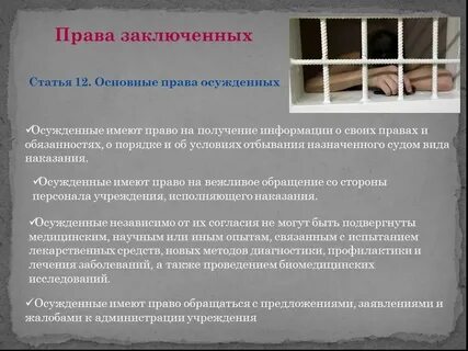 Виды ресоциализации осужденных