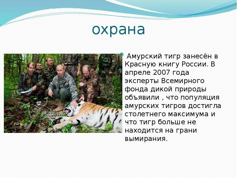 Амурские имена