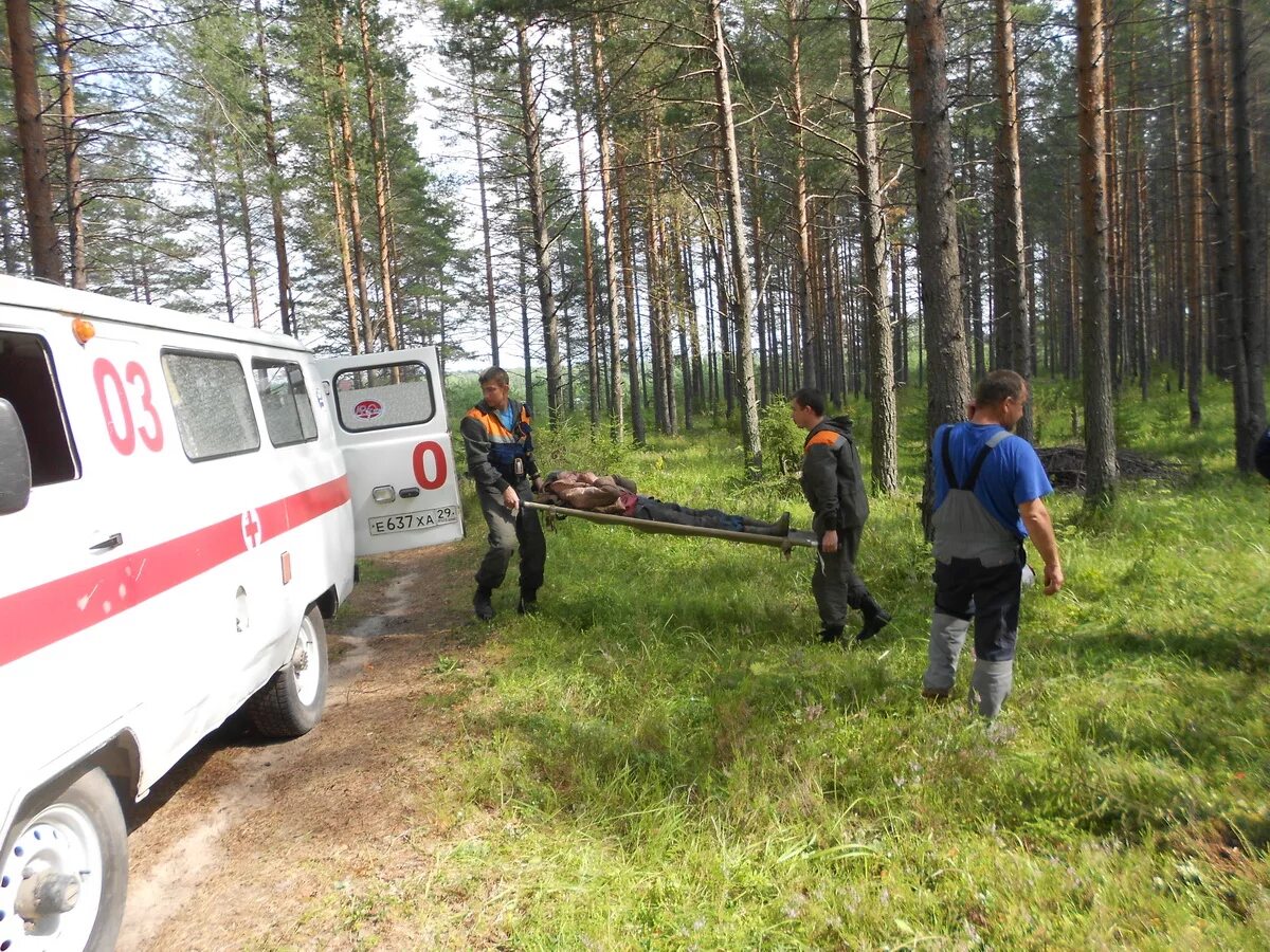 Подслушано савинский архангельская область плесецкий. Посёлок Савинский Плесецкого района. П Емца Плесецкого района Архангельской области. П Савинский Плесецкого района Архангельской области. Лагеря в Плесецком районе Архангельской области.