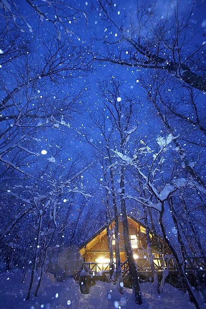 Зимний ночной пейзаж. Красивый снегопад. Зимняя ночь. Зимний вечер. Падает снег вечер