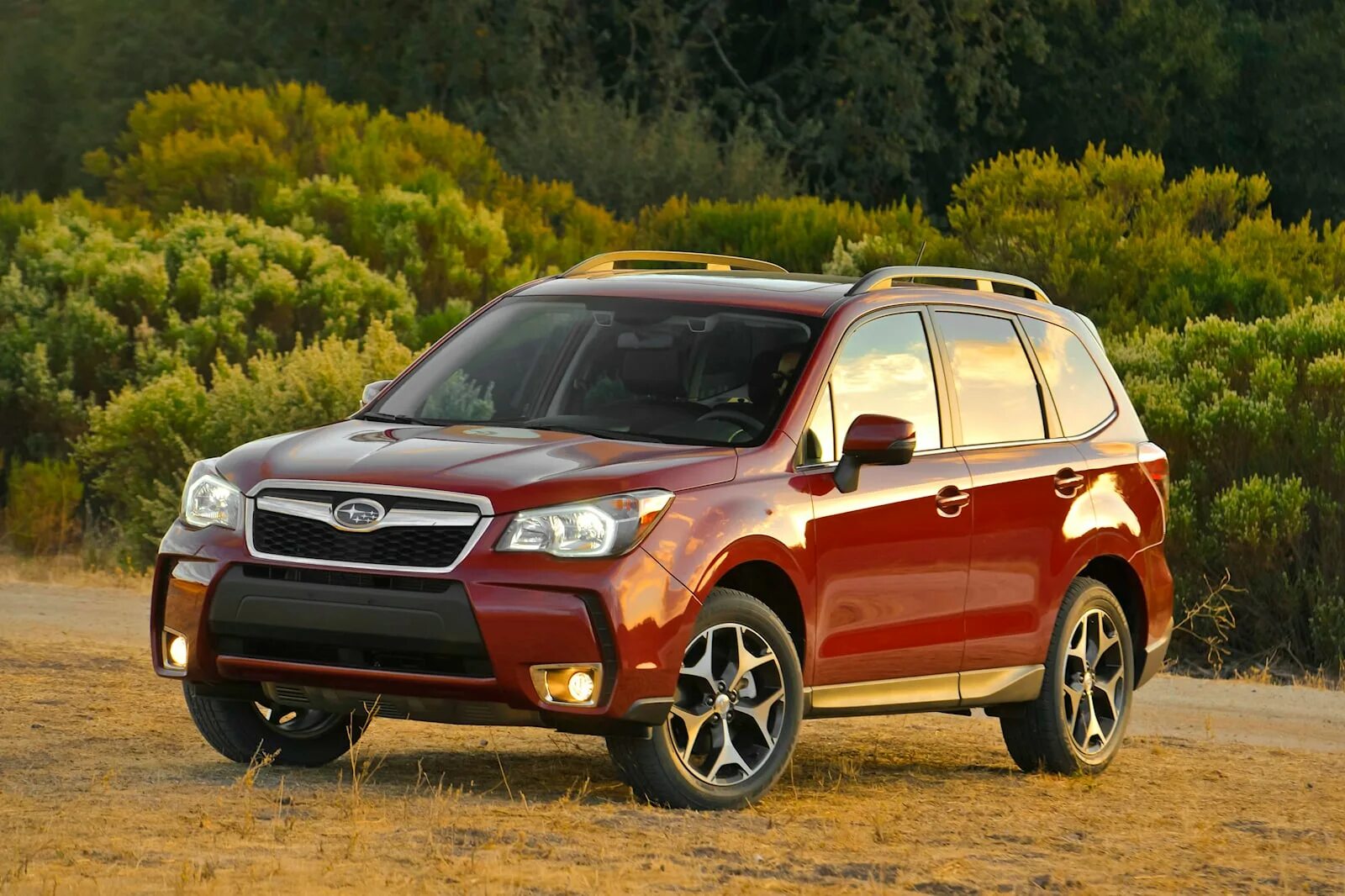 Субару Форестер 2014. Субару Форестер 2014г. Субару Forester 2014. Subaru Forester XT 2014. Куплю форестер 2014 года