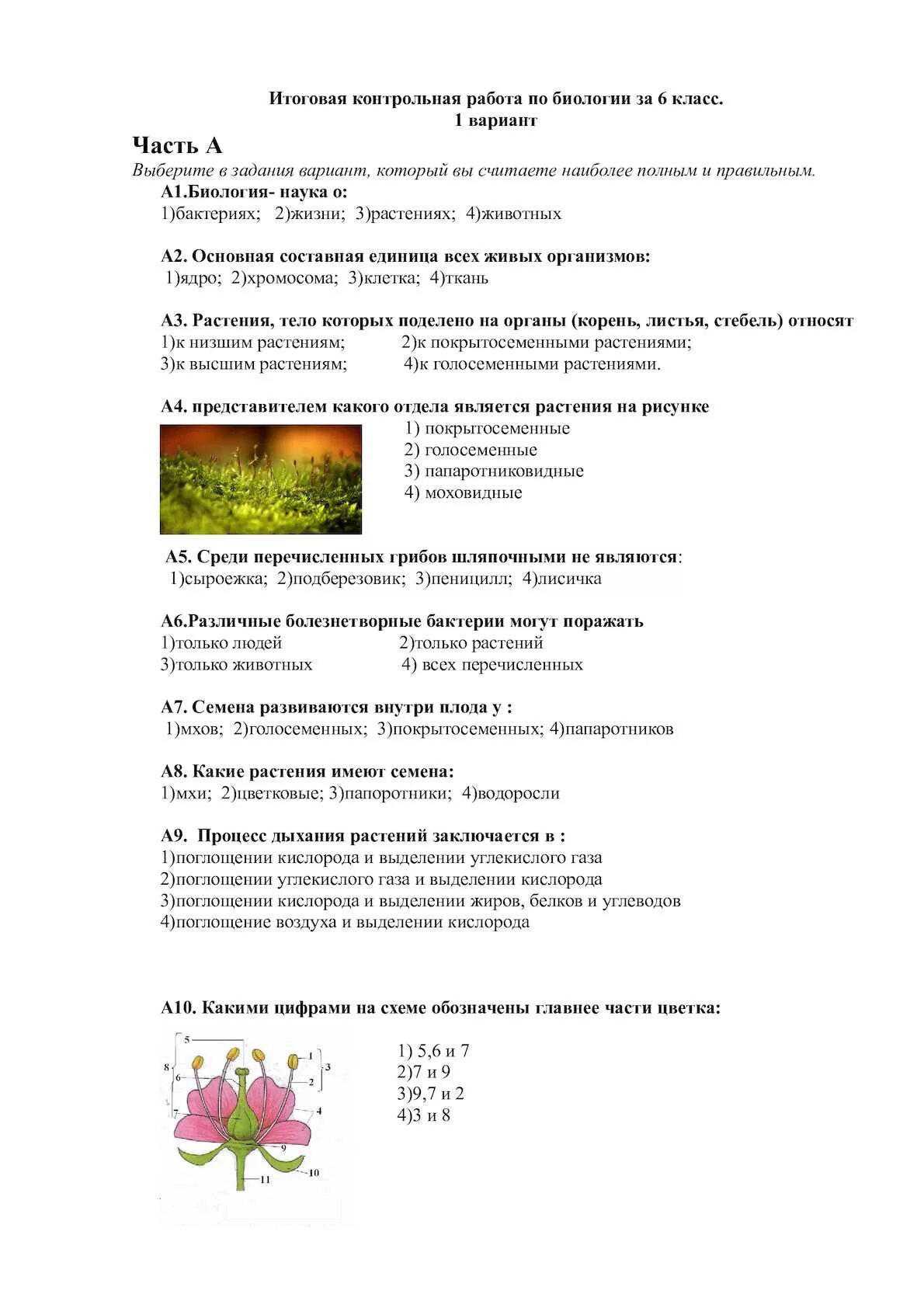Итоговая по биологии 6 класс ответы. Итоговые тесты биология 6 класс. Контрольная работа по биологии 6 класс пономарева. Итоговая кр по биологии 6 класс с ответами. Итоговое тестирование по биологии 6 класс.