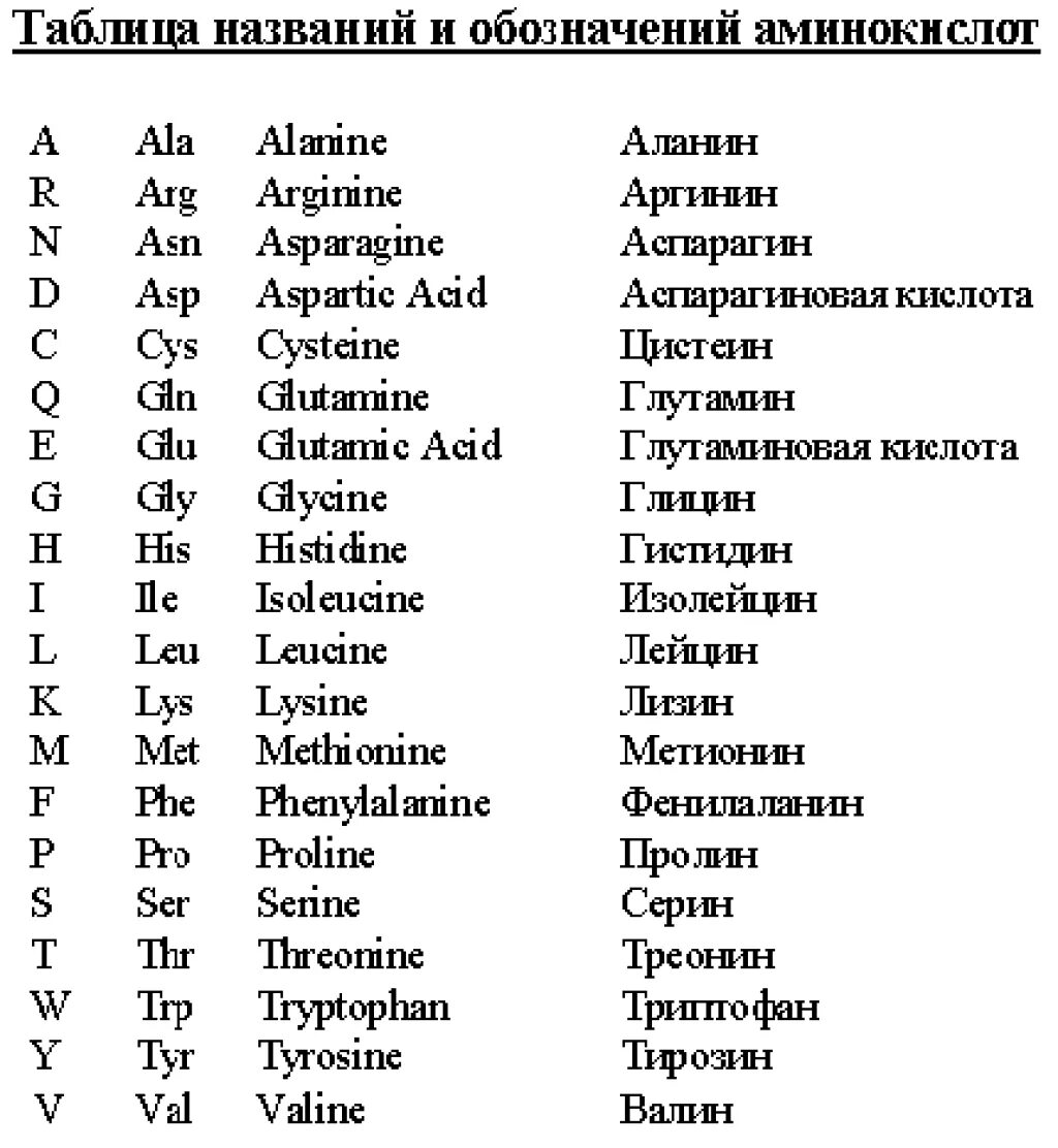 Названия аминокислот таблица. Обозначения аминокислот таблица. Сокращения аминокислот таблица. Таблица аминокислот однобуквенная. Двойное название для обозначения видов