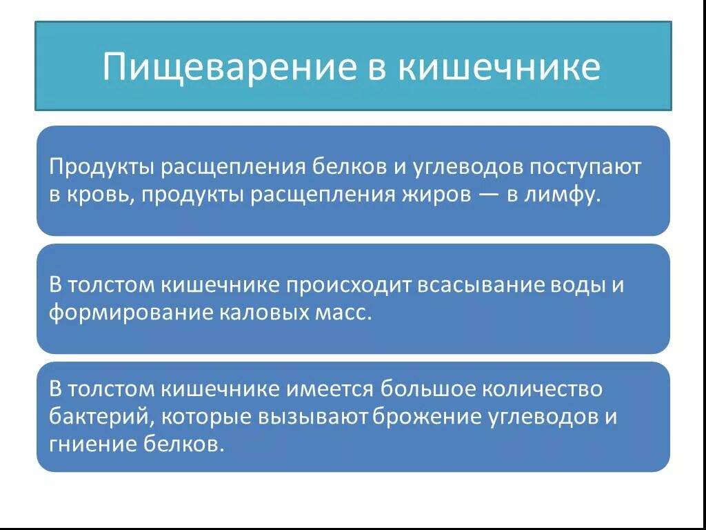 Продукты распада воды. Продукты расщепления белков. Продукты распада в кишечнике. Расщепление БЖУ В толстом кишечнике. Продукты расщепления белков жиров и углеводов.