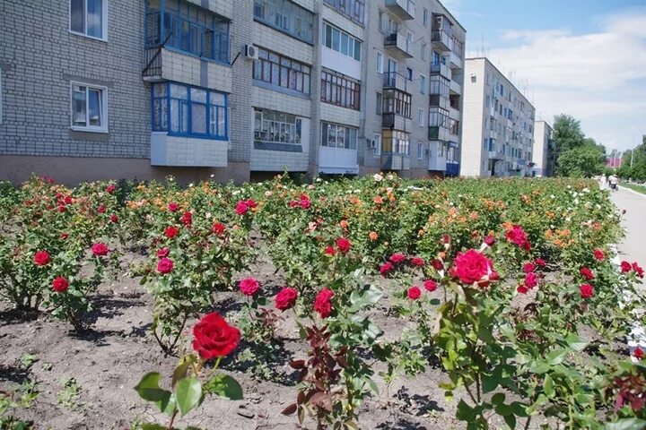 Р п степное советского района. Посёлок Степное Саратовская. Поселок Степное Советский район Саратовская область. Поселок Степное Советский район. Саратов посёлок Степное.