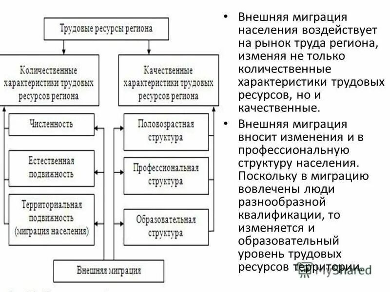 схема миграции населения в россии. миграционная ситуация в мире. миграция населения. специфические черты международной трудовой миграции. миграция населения.