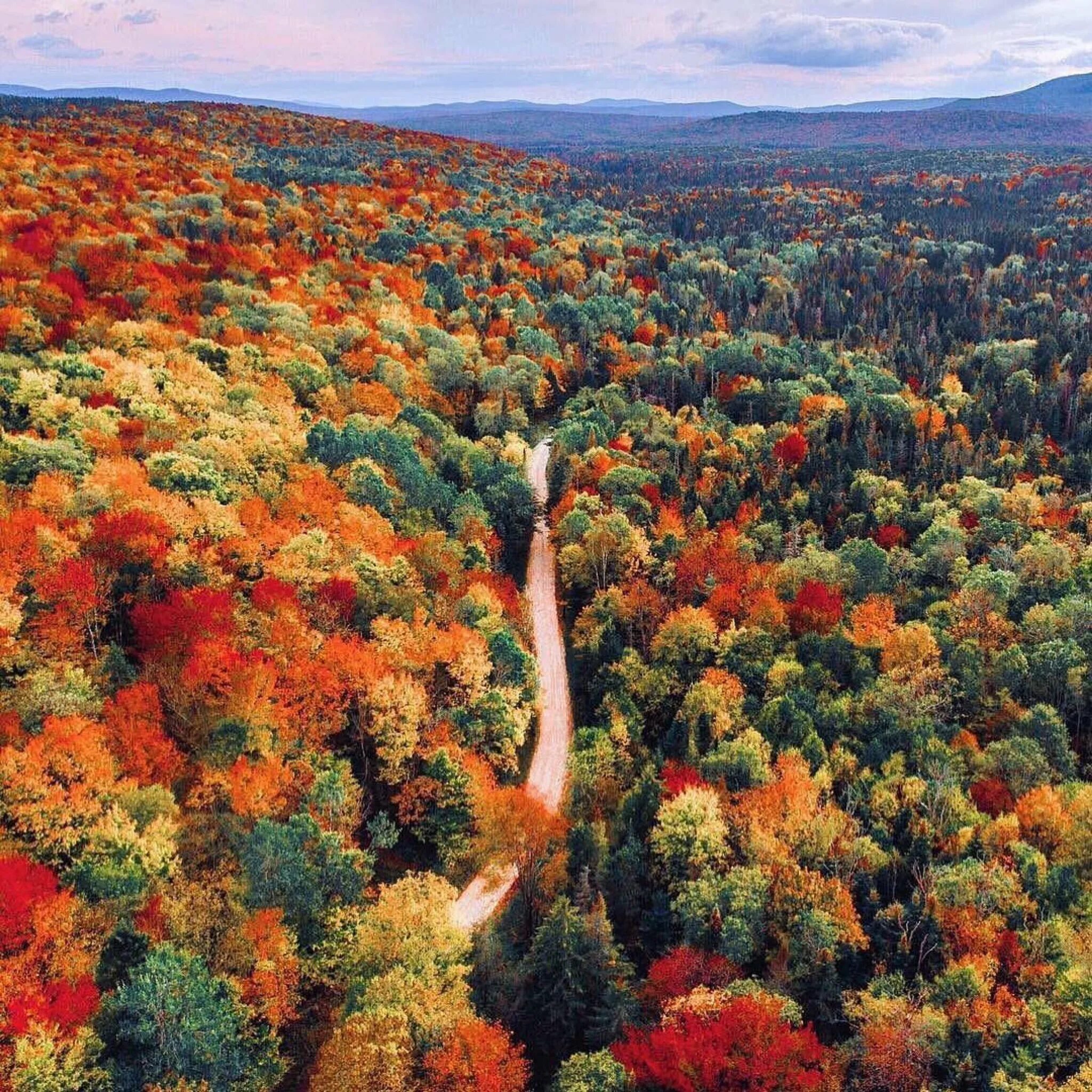 Лес сверху. Осенний лес сверху. Красота осени. Осень в лесу.
