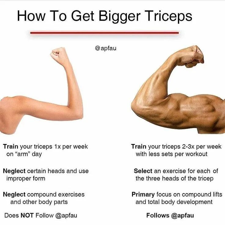 How to get big. На трицепс юмор. how to get. трицепс по английски. how to get small arm for wo.