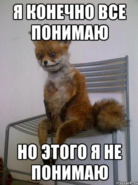 Прогулка надпись. Я люблю гулять по ночам. Пошли гулять. Смешные мемы про переезд. Прогулка смешная картинка.