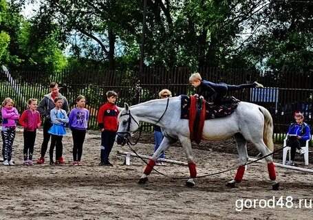 Лошадь по липецкой