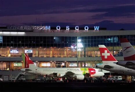 Ковер москва аэропорт