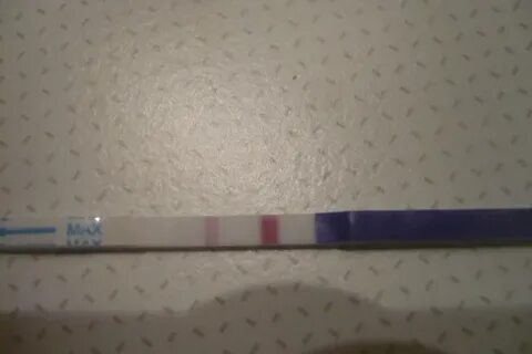 Полоска теста 5 недель