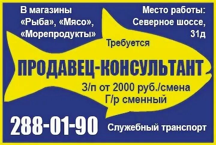 рукоделие в северном бутово кружки. призматрон. иман кальби ничья. безработица молодежи. посади свое дерево архангельск.