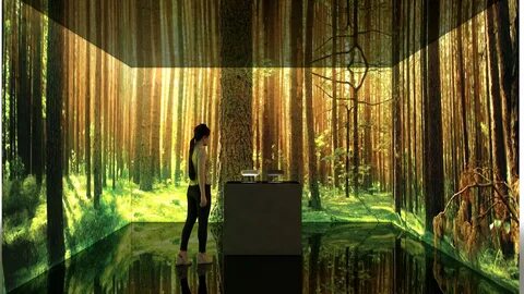 Artificial environment