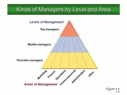 Management level