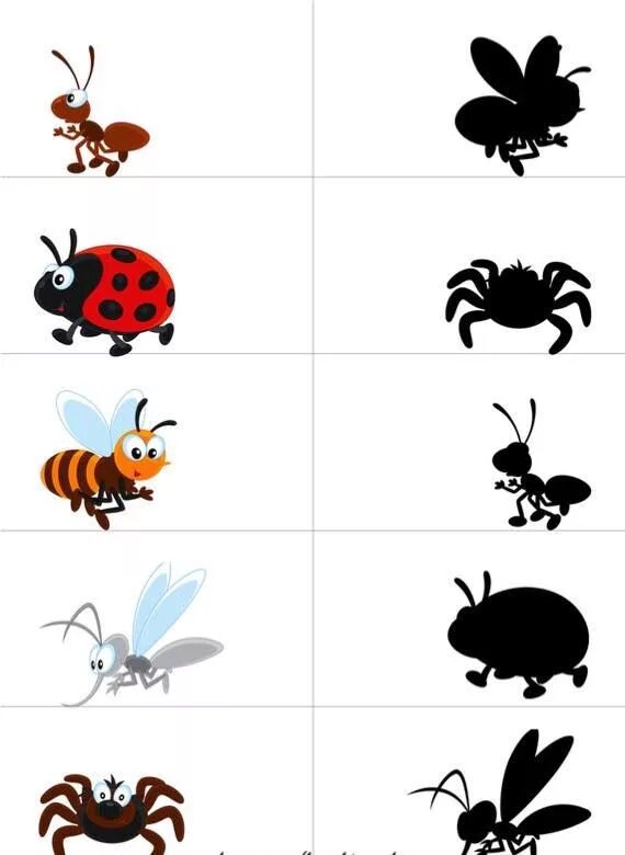 Игра Найди тень насекомые. Насекомые занятие для дошкольников. Тень насекомые для дошкольников. Насекомые задания для дошкольников.