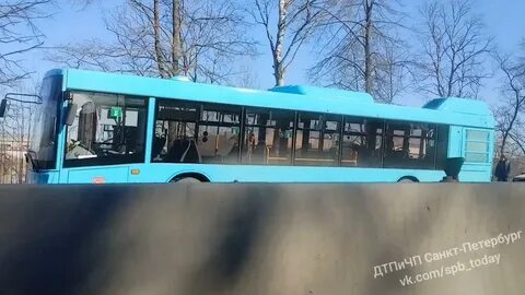 Автобус 438 колпино