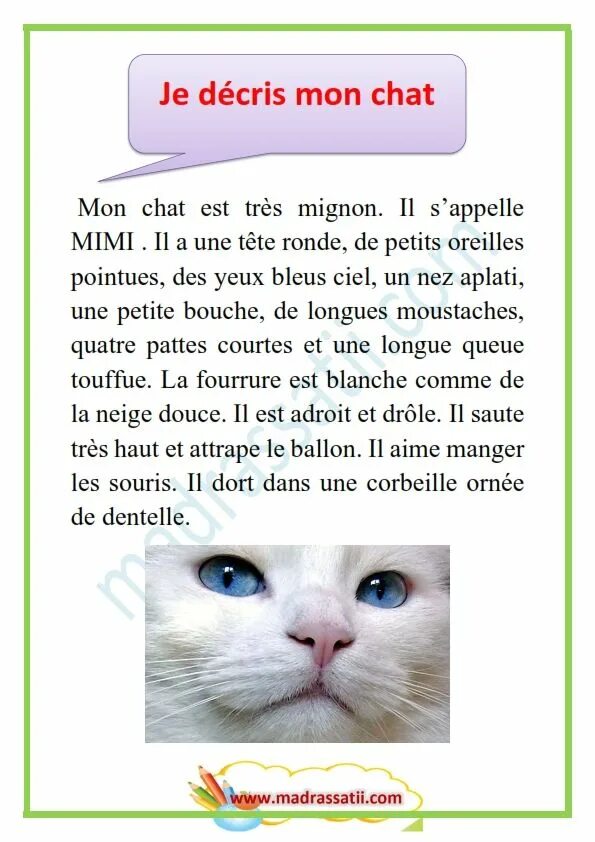 Животные на французском языке. Стишок на французском языке про кота. Стих про кота на французском. Стихотворение про кошку на французском языке.