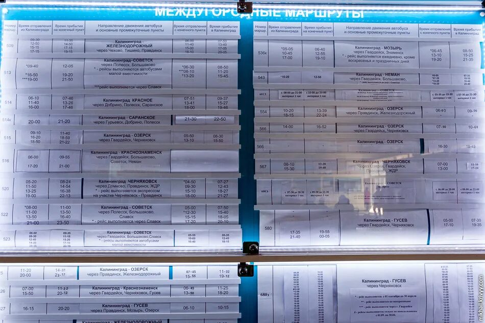 Расписание автобусов калининград гусев на сегодня. Автобус Черняховск Калининград. Автобус Гусев Калининград. Автобус Гусев Черняховск. Расписание автобусов Гусев Калининград.