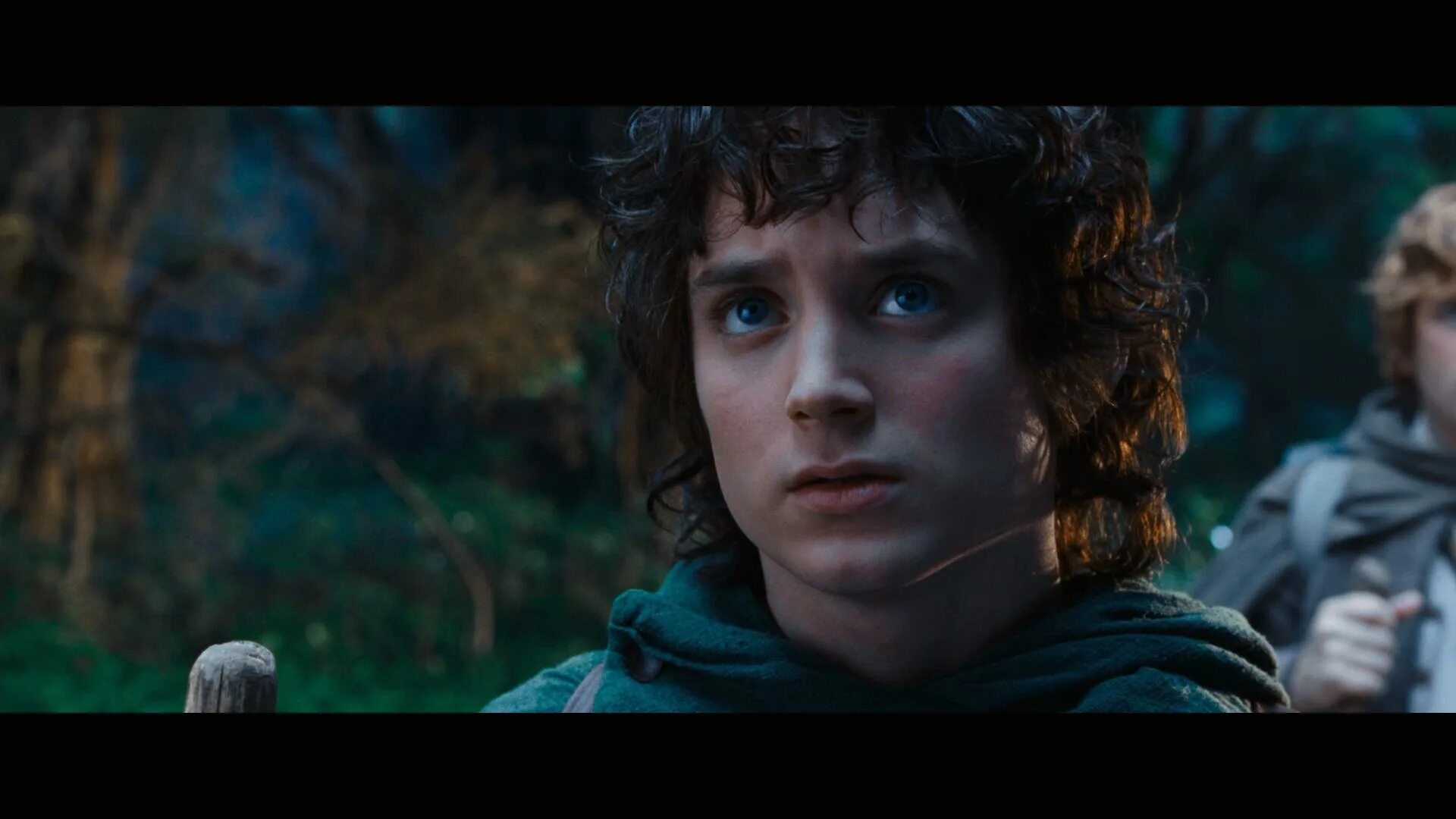 Фродо 1995. Фродо бэггинс. Фродо бэггинс. Властелин колец фродо и сэм. Хоббит фродо бэггинс.