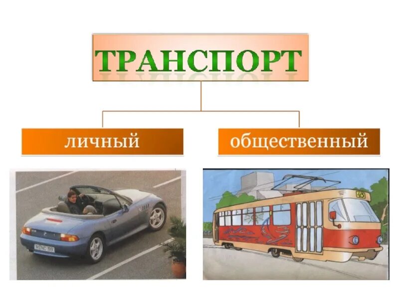 Окр мир транспорт. Транспорт. Наземный транспорт. Виды наземного транспорта. Личный и общественный транспорт.