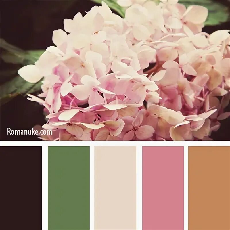 Сочетание розового и коричневого. Сочетание розового и коричневого. Сочетание розового и коричневого. Розовый коричневый белый. Розовый коричневый белый.
