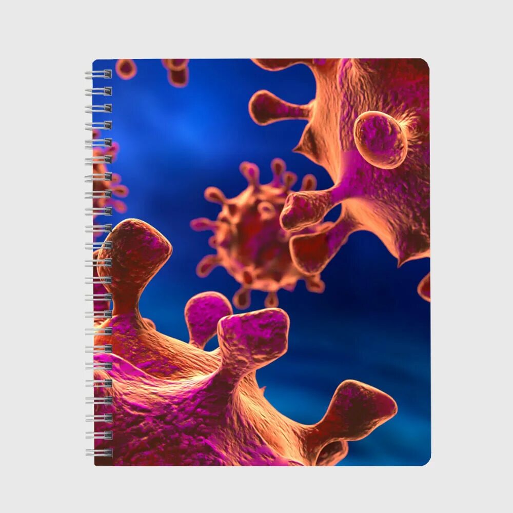 Биология пятый класс строение бактериальной клетки. Строение бактерии 5 класс. В. Строение бактериальной клетки. Тетрадь бактерии.