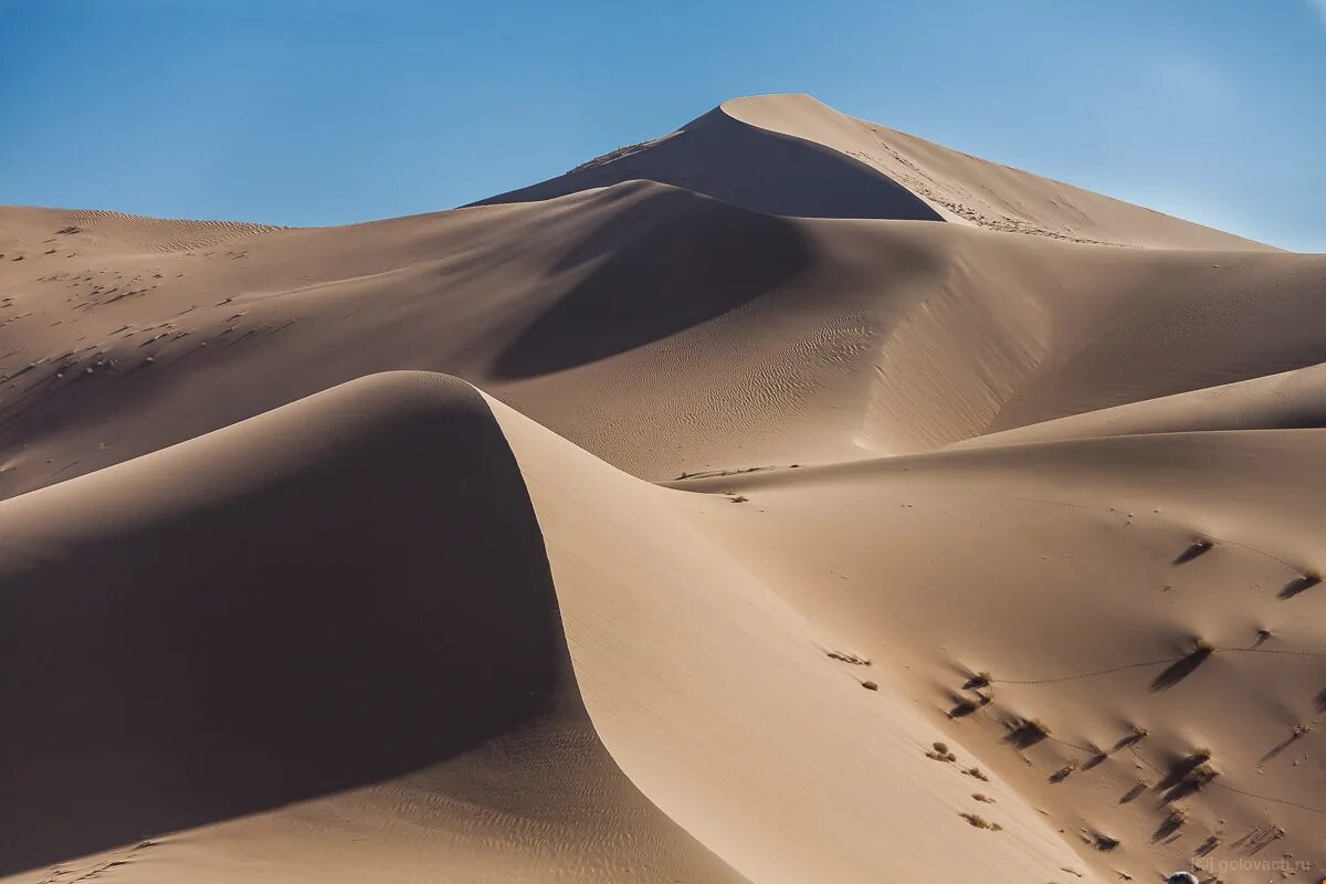 Гоби это пустыня. Пустыня Гоби Евразия. Пустыня Гоби Монголия. Барханы пустыни Гоби. Дюны в пустыне Гоби.