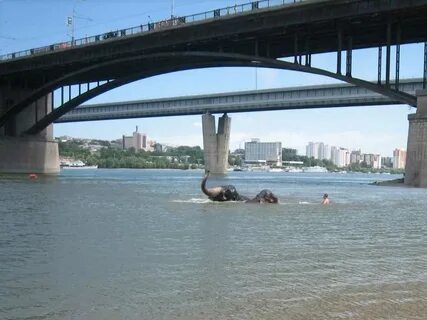 Новосибирск 2008