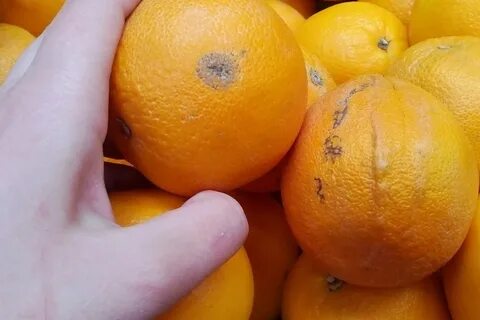 По какой цене продавал апельсины