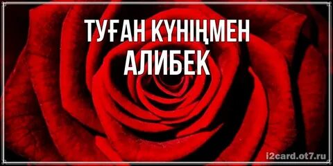 Хакерлер ұрлаған атақты порно