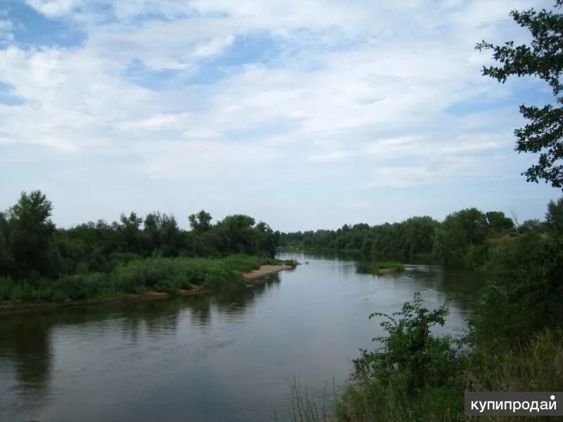 Станица березовская волгоградская область даниловский. Березовская волгоградская область. Погода в волгоградской березовская. Березовская волгоградская область. Погода в волгоградской березовская.