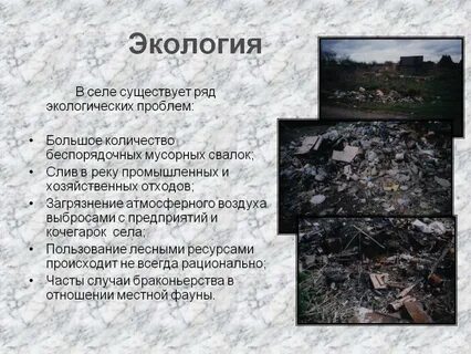 Экология села