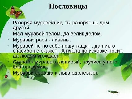 Все лето хлопочут муравьи вид предложения