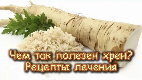 Хрен школа