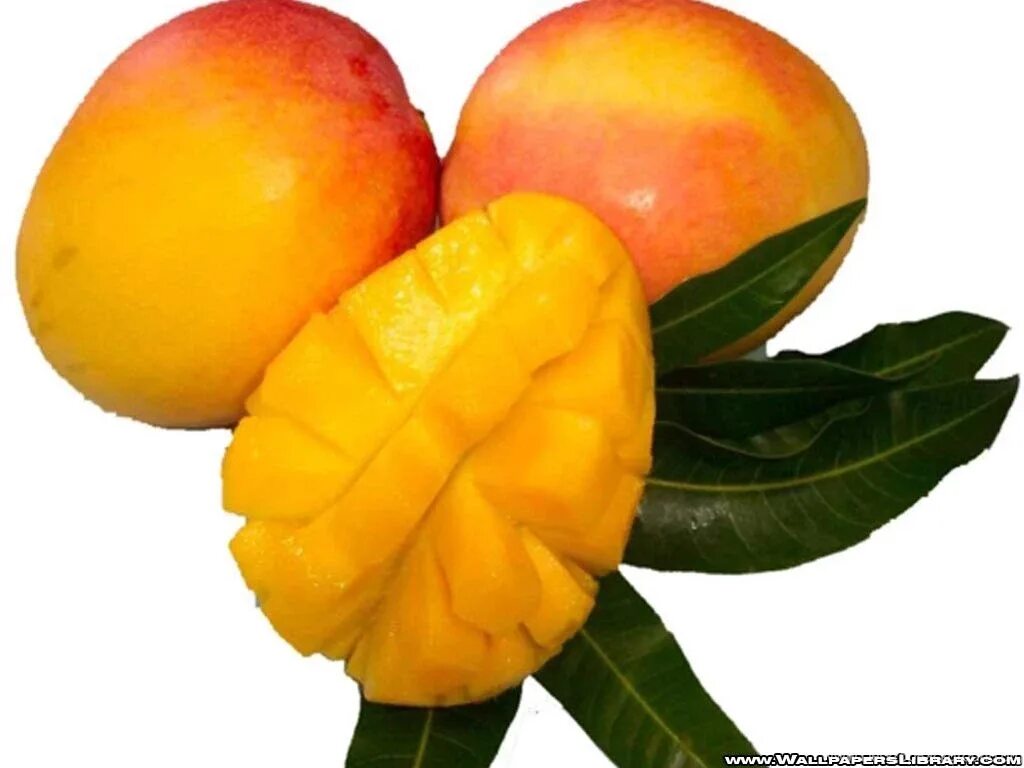 Манго (фрукт). Манго Королевский. Манго Королевский фрукт. Манго фрукт тайский сорт.