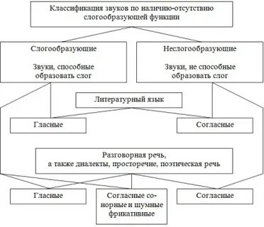 Конспект слогообразующая функция гласных звуков