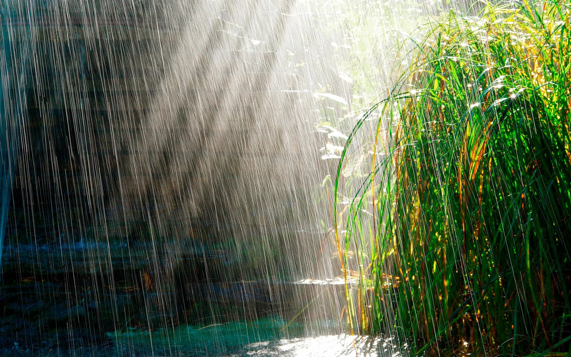 Rain ing. Дождь. Ливень. Проливной дождь. Лето дождь.