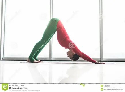 Adho Mukha Svanasana Piękne joga kobiety praktyki puszka psa joga pozy w du...