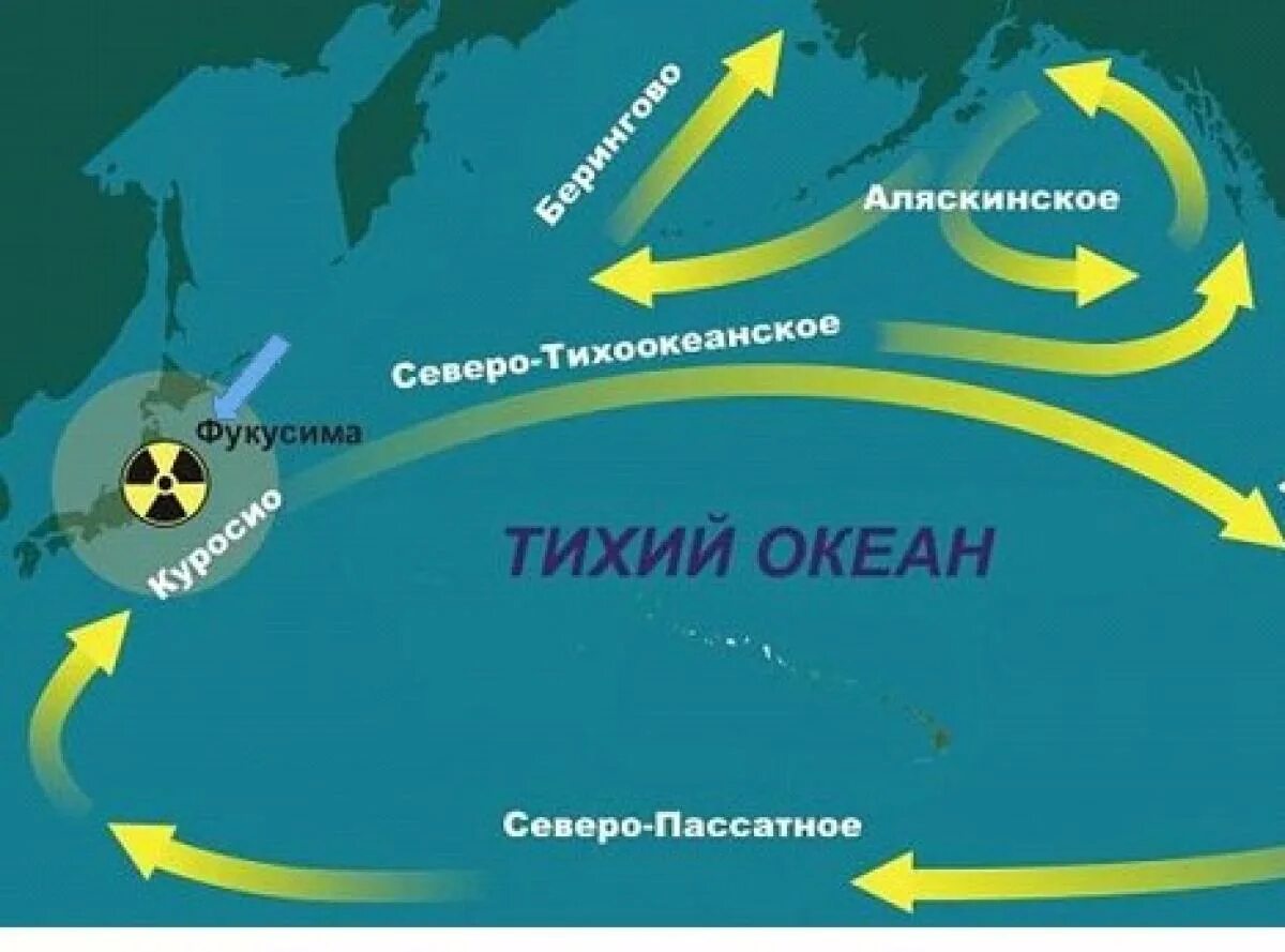 Течения в морях и океанах. Куросио течение на карте. Течение Куросио на карте Тихого океана. Северное Тихоокеанское течение на карте. Тихоокеанское течение.