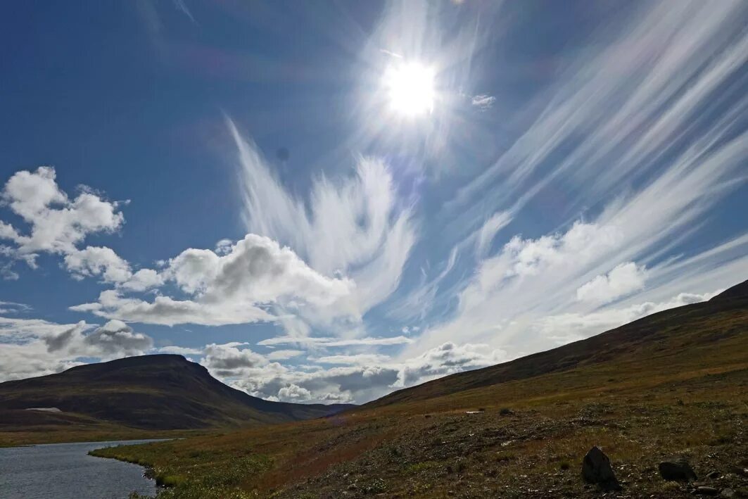 друппова татьяна александровна дудинка. бренд таймыра. сергей ткаченко глава таймыра. агентство развития норильска. кчс сокольского муниципального округа.