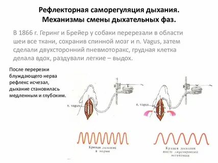Увеличение глубины дыхания