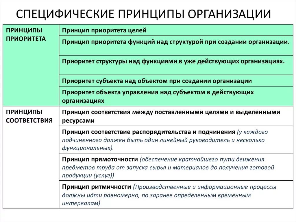 Принцип теории организации. Принципы организации. Принцип. Принципы организации примеры. Специфические принципы организации.